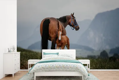 Produktbild von MuchoWow® Fototapete für Wohnzimmer oder Schlafzimmer Wandtapete Vinyl Motivtapete Pferd - Fohlen - Berg - 450x300 cm - Gemusterte