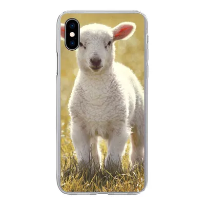 Produktbild von MuchoWow® Handyhülle Schutzhülle Hülle für iPhone Xs Schafe - Gras - Sonne Silikon Softcase Handy Hülle - Handytasche