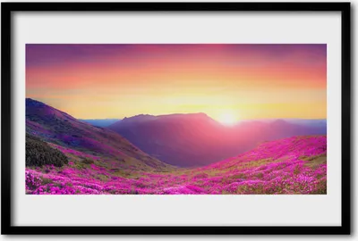 Produktbild von Bild 60x40 MDF-Rahmen Wandkunst Sun Mountain Meadow Natur