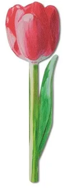 Obrázok produktu pre Záložka do knihy s motívom kvetov – Maľovaný tulipán – IF