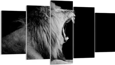 Produktbild von Bild auf Leinwand - Leinwandbild - 5 Teile - Löwe Gähnen Schwarz und Weiß - 160x85cm - Wand Bild - Wanddeko - Wandbilder - Leinwanddruck - Bilder - Wanddekoration - Leinwand bilder - EA160x85-4252