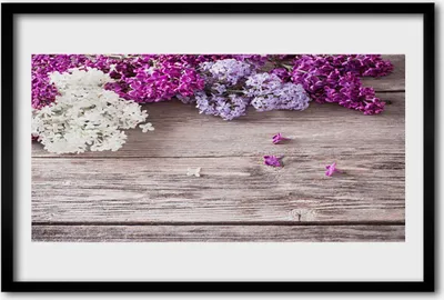 Produktbild von Bild 60x40 MDF-Rahmen Wandkunst Blumen Pflanzen