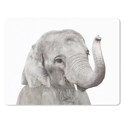 Produktbild von MuchoWow® Mauspad Mousepad Elefant - Tiere - Grau - Natur 40x30 cm - Mousepads - Maus Mat - Pad - Mausunterlage - Anti Rutsch