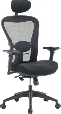 Produktbild von Bürostuhl Dachi, Mesh Chefsessel mit Armlehnen, Ergonomischer Bürositz, 66x68h120/132 cm, Schwarz