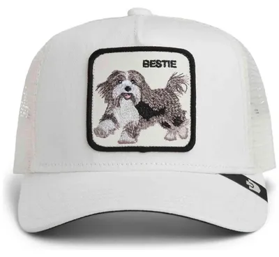 Image de Casquette Goorin Bros 1013002DUS01 pour Uni