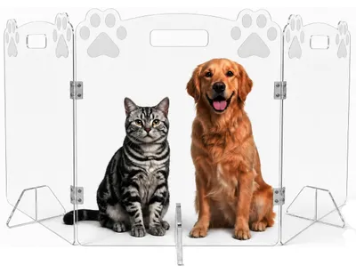 Imagen del producto de Elzusha - Barrera para perros de acrílico transparente, para uso en interiores