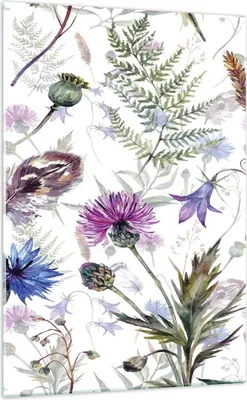 Produktbild von Bilder auf glas - Einteilig - Blume Wiese Natur - 70x100cm - Glasbilder - Wandbilder - Bilder - zum Aufhängen bereit - Wanddekoration aus Glas - Glas Bilder - Wandbild auf Glas - GPA70x100-3838