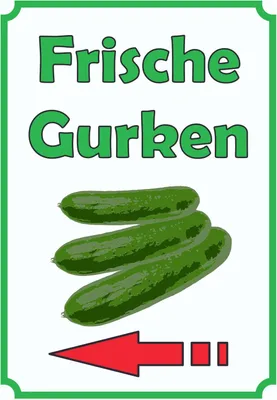 Produktbild von Frische Gurken Schild Hochkant mit Pfeil links A1 Rückseite selbstklebend
