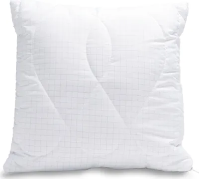 Immagine prodotto di Cuscino antistress 40x40cm 250g con cerniera