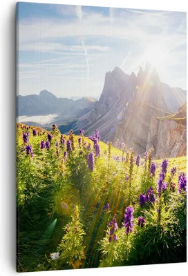 Produktbild von Bild auf Leinwand - Leinwandbild - Einteilig - Berge Wiese Blumen - 50x70cm - Wand Bild - Wanddeko - Wandbilder - Leinwanddruck - Wanddekoration - Leinwand bilder - Wandbild - PA50x70-4008