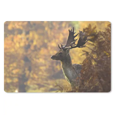 Produktbild von MuchoWow® Schreibtischunterlage Hirsche - Geweihe - Herbst 60x40 cm - XXL Mauspad - Großes Mauspad