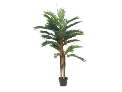 Obrázek produktu pro Europalms Kentia Palme Kunstpflanze 120cm 82511365