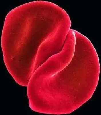 Produktbild von Peter Gabriel: Scratch My Back - - (CD / Titel: Q-Z)