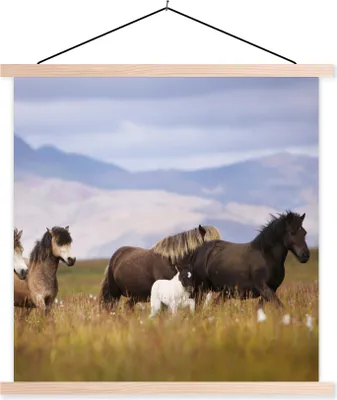 Produktbild von MuchoWow® Textilposter Pferde - Gras - Berge 60x60 cm mit holzfarbenen Rahmen - Wanddekoration