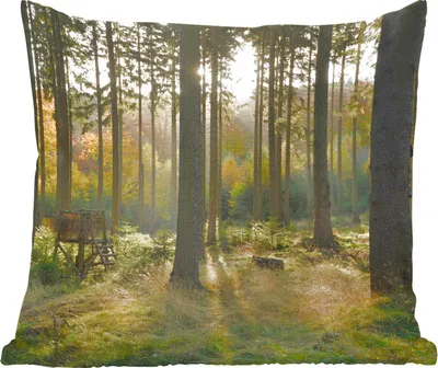 Produktbild von MuchoWow® Zierkissen Sofakissen Wohnzimmer Dekokissen 60x60 cm Wald - Sommer - Sonne - Sitzfläche - Foto Polster