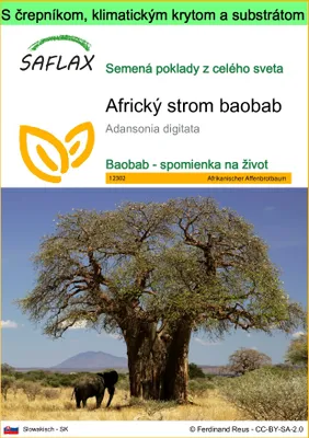 Obrázok produktu pre SAFLAX Garden to go - Africký strom baobab - Adansonia digitata - 6 Semená - S črepníkom, klimatickým vekom a pestovateľským substrátom