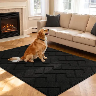 Image de Paillasson intérieur/extérieur, lavable, tapis anti-saleté, antidérapant, 119x180 cm, noir