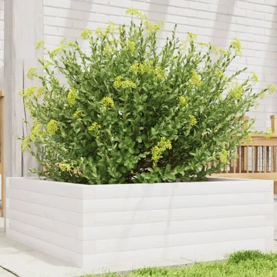 Produktbild von "Spring Sale"Pflanztopf/Blumenkübel Moderne - Pflanzkübel - Blumentopf Weiß 70x70x23cm Massivholz Kiefer Promotion280932 - Beete