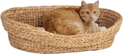 Image de Lit pour chat Kunstbont, pliable, pour chats ou petits chiens, doux et moelleux