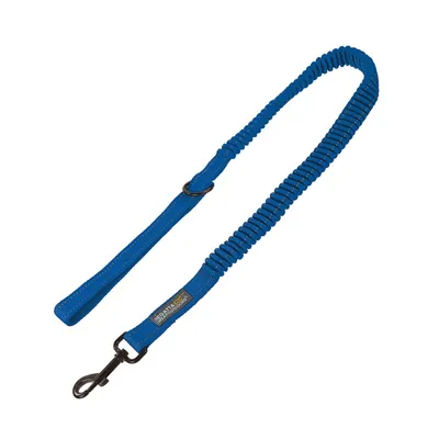 Produktbild von Regatta - Vodítko pre psa RG5421 (jedna veľkosť) (tmavomodré)