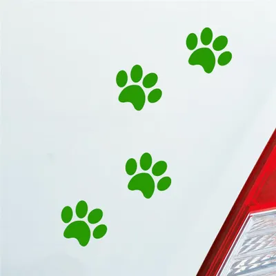 Produktbild von Auto Aufkleber Pfoten Paws Dog Hund Haustier Tier Pfote Paw 8x10 cm Hellgrün Sticker Heckscheibenaufkleber