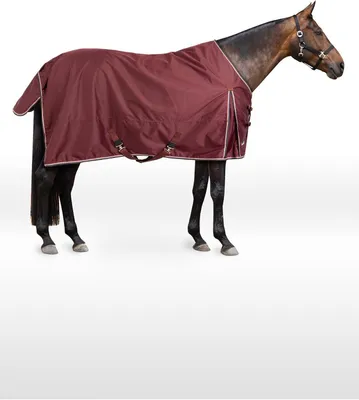 Productafbeelding van Paardendeken Glasgow - Regendeken Paard - Paard Beschermen - Waterdicht Ademend - 3000mm 3000mvp - Blauw