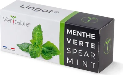 Produktbild von Véritable 3760262511085, Essbare Pflanze, Minze, Nachfüllen, Mittelschnell wachsend (5-8 Wochen)