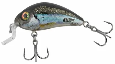 Zdjęcie produktu dla Salmo wobler Rattlin Hornet Shallow FLOATING 3.5cm CLEAR HOLO SMELT