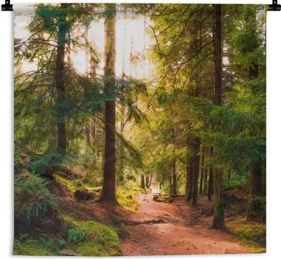 Produktbild von MuchoWow® Wandteppich Wandbehang Wald - Weg - Bäume - Grün - Sonne - Natur 150x150 cm Tapisserie Dekoration Wandtuch - Wohnaccessoires - Modernes