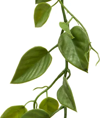 Produktbild von Girlande kunstpflanze bellan b15xt15xh180 cm grün - Atmosphera créateur d'intérieur