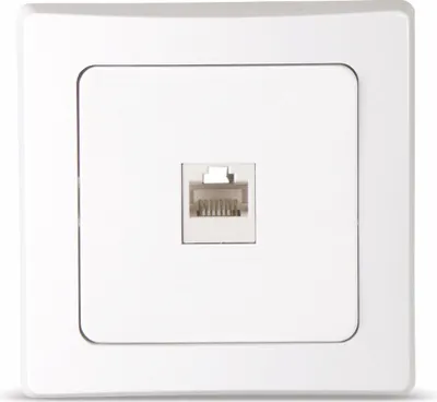 Image de Prise RJ45 DELPHI, CAT.5e, blanc