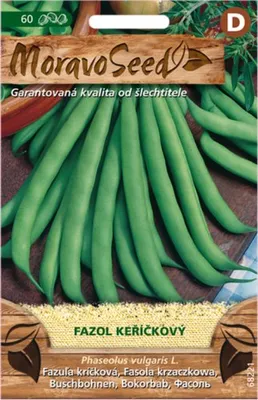 Image de NOVORES haricots verts 68221