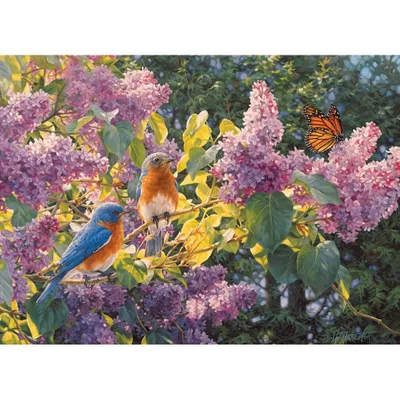 Produktbild von COBBLE HILL Puzzle Spring Show 500 Teile
