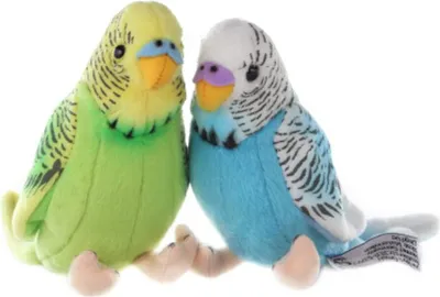 Obrázok produktu pre Mayer Brands budgerigar 12cm 0 0 STK