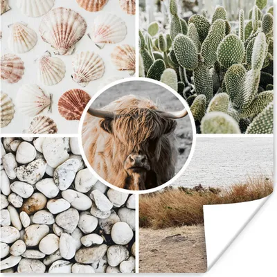 Produktbild von MuchoWow® Poster Schottisches Hochlandrind - Collage - Steine - Sand 50x50 cm - Wohnzimmerdekoration