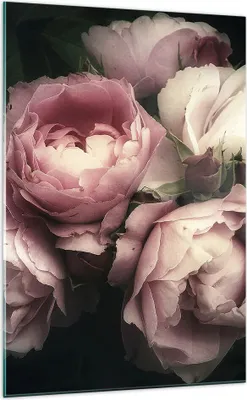 Produktbild von Bilder auf glas - Einteilig - Pfingstrose Blume - 70x100cm - Glasbilder - Wandbilder - Bilder - zum Aufhängen bereit - Wanddekoration aus Glas - Glas Bilder - Wandbild auf Glas - GPA70x100-3930