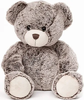 A plush teddy bear is sitting on a white background.