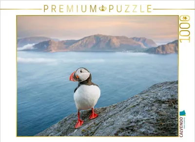 Produktbild von CALVENDO Puzzle Ein Motiv aus dem Kalender Die kleinen schönen | 1000 Teile Lege-Größe 64x48cm Foto-Puzzle für glückliche Stunden