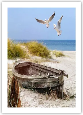 Produktbild von Poster - Poster ohne Rahmen - Strand Möwen £ódŸ - 50x70 cm - Wand Bild - Wanddeko - Wandbilder - Kunstposter - Wandposter - Bilder - Kunstdruck - Wanddekoration - Wandbild - P2XPA50x70-4170