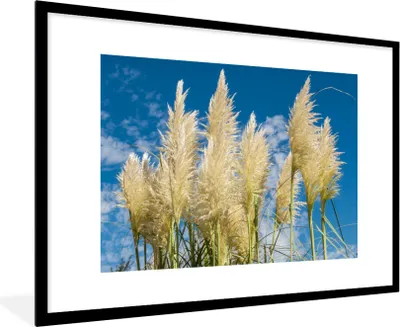 Produktbild von MuchoWow® Gerahmtes Poster Pampasgras - Pflanze - Natur 90x60 cm - Poster mit Schwarzem Bilderrahmen Wandposter Rahmen Foto Bilder - Wanddekoration - Fotos