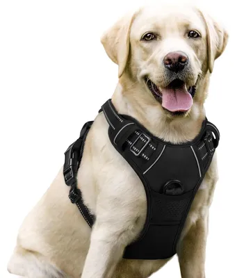 Produktbild von Hundegeschirr Anti-Zug Brustgeschirr - Verstellbar - Gepolstert - Schwarz, Größe L