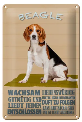 Produktbild von Blechschild Spruch 20x30cm Beagle Hund gutmütig liebt jeden