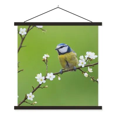 Produktbild von MuchoWow® Textilposter Blaumeise - Zweig - Blumen - Blühende Zweige - Vogel 40x40 cm mit schwarzem Rahmen - Fotos