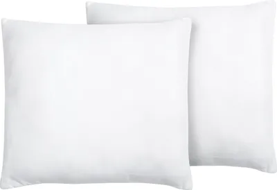 Two white pillows are shown side-by-side on a white background.