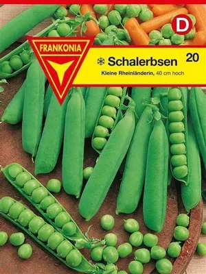 Produktbild von Erbsen Kleine Rheinländerin