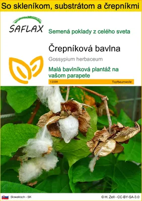 Obrázok produktu pre SAFLAX Kultivačný set - črepníková bavlna - Gossypium herbaceum - 12 Semená - S mini skleníkom, pestovateľským substrátom a 2 črepníkmi