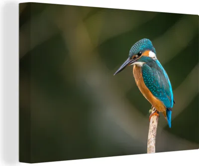 Produktbild von OneMillionCanvasses® - Leinwandbilder - 140x90 cm, Vogel - Eisvogel - Zweig, Wandbilder Kunstdruck Wanddekoration