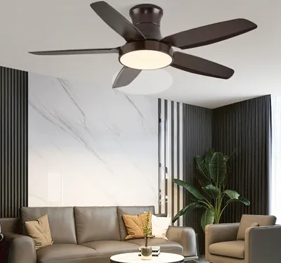 Image de SX009-132 Ventilateur de plafond avec éclairage LED avec télécommande couleur/luminosité réglables 6 vitesses, minuterie 2 heures mode été et hiver