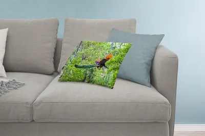Produktbild von MuchoWow® Zierkissen Sofakissen Wohnzimmer Dekokissen 60x40 cm Pfau - Fliegen - Wald - Blau - Kopfkissen - Polster mit Foto