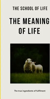 Immagine prodotto di The Meaning of Life
